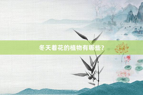 冬天着花的植物有哪些？